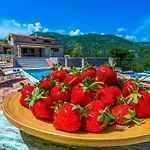 Rusticale With Private Pool וילה
