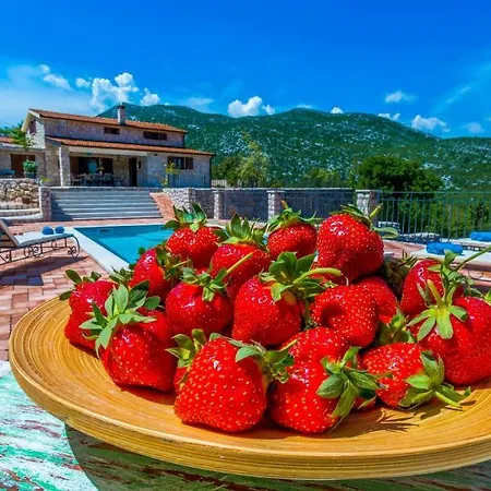 Rusticale With Private Pool Willa