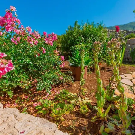 Rusticale With Private Pool