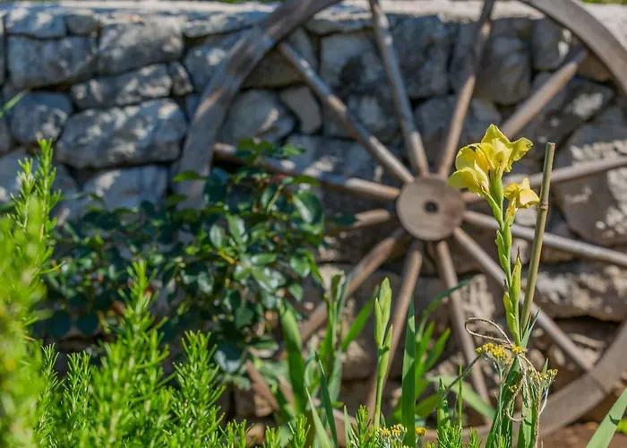 Rusticale With Private Pool *