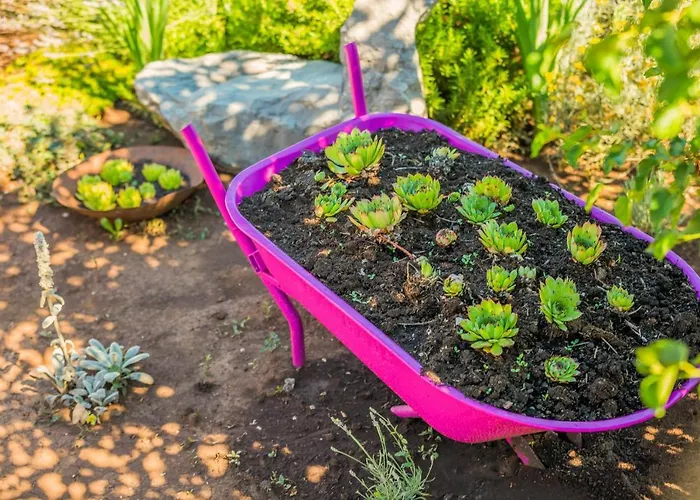 Rusticale With Private Pool Vrgorac